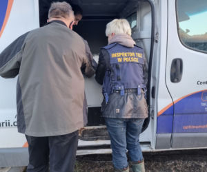 Koszmar zwierząt koło Limanowej. 33 schorowane psy w jednym pomieszczeniu! Zdjęcia mrożą krew w żyłach