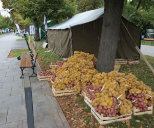16 000 za zduszenie strajku, 3000 za ratowanie życia