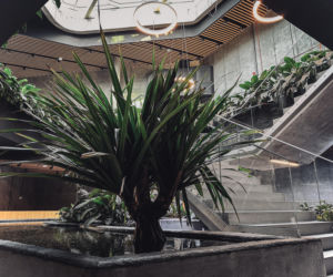 Egzotarium w Sosnowcu