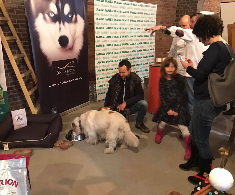 Master Chefs for dogs w Poznaniu