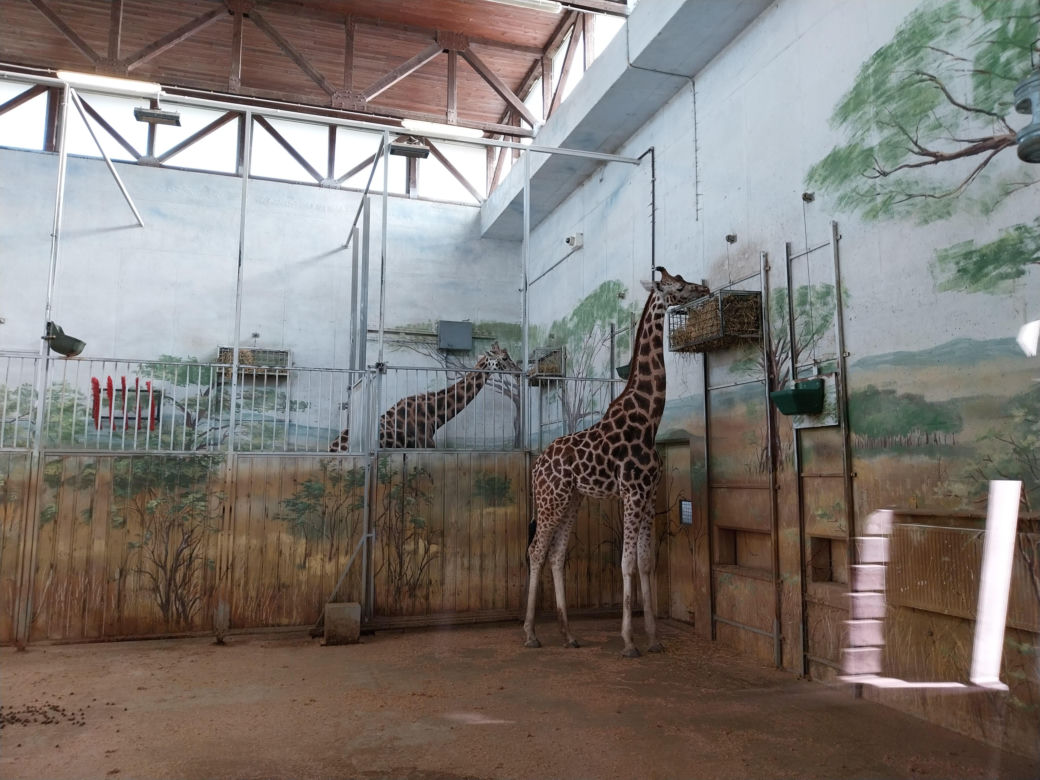 Wiosenny spacer w zamojskim zoo