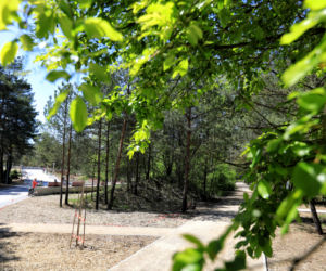 Jar w Toruniu jest coraz piękniejszy. Zrealizowano projekt za 8,7 miliona złotych