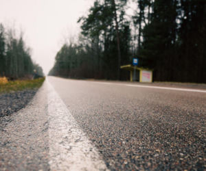 Rowerem do Puszczy Knyszyńskiej? Nowa trasa zmieni Podlaskie nie do poznania!