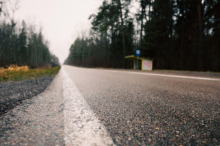 Rowerem do Puszczy Knyszyńskiej? Nowa trasa zmieni Podlaskie nie do poznania!