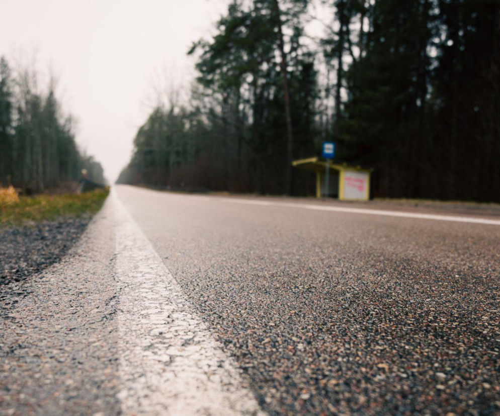 Rowerem do Puszczy Knyszyńskiej? Nowa trasa zmieni Podlaskie nie do poznania!