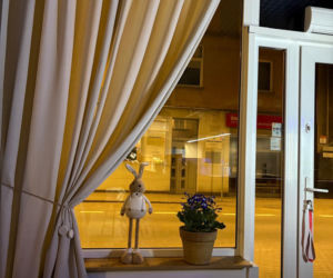 Nudlowa rewolucja w mieście UNESCO