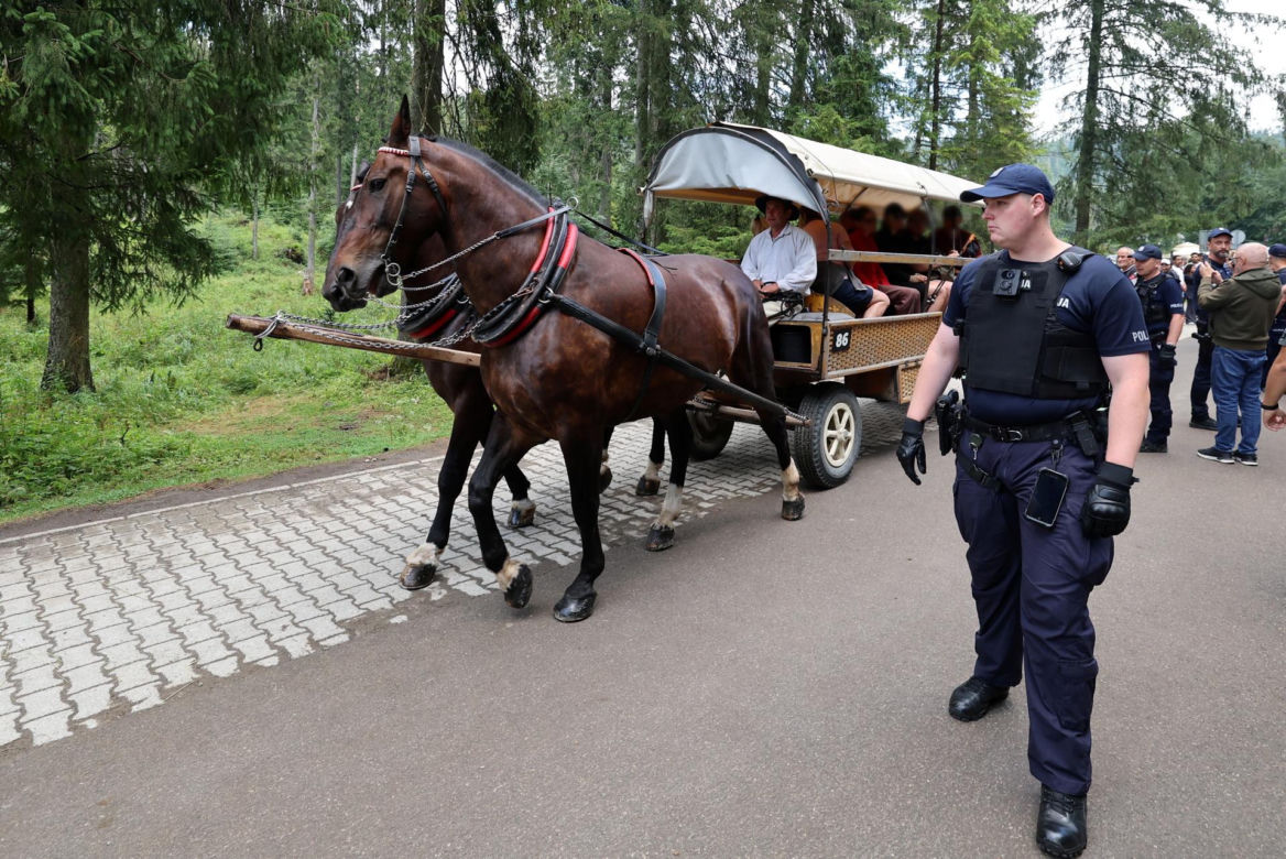 Protesty przeciwko konnemu transportowi nad Morskim Okiem