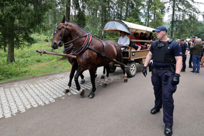 Protesty przeciwko konnemu transportowi nad Morskim Okiem