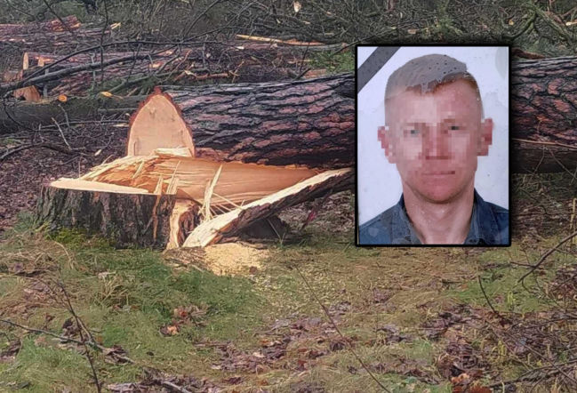 Tragedia podczas wycinki drzew. Olbrzymi konar zmiażdżył Pawła w lesie