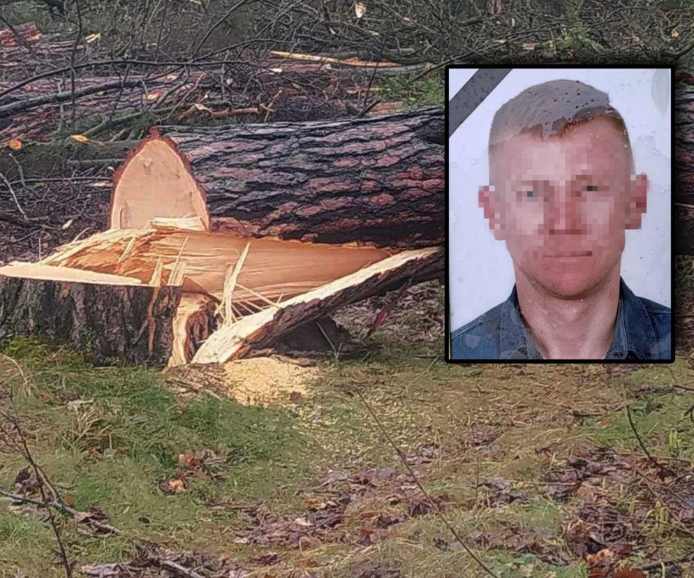 Tragedia pod Mińskiem Mazowieckim. Konar zmiażdżył 32-letniego Pawła
