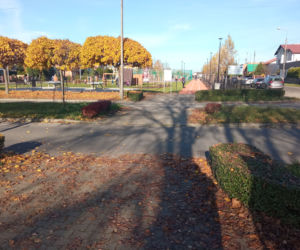 Park Gronowo otwarty 