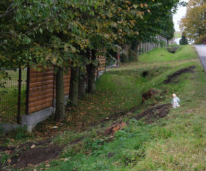 Gilowice: Tak zginęła ciężarna Gosia. Córka w fatalnym stanie [REKONSTRUKCJA ZDARZEŃ]