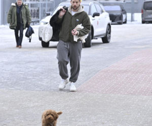 Ramówka Polsatu, wiosna 2026