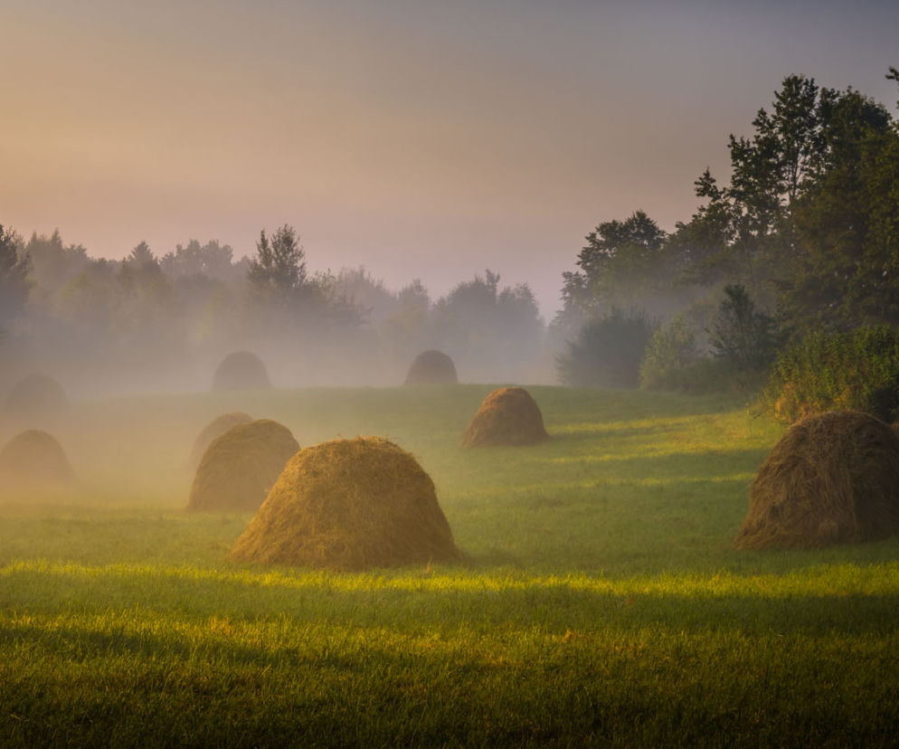 Baśniowy klimat o poranku na Podkarpaciu