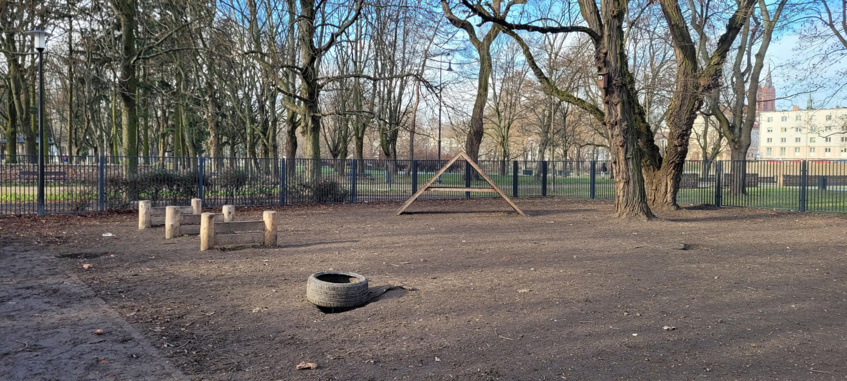 Psi park w Parku Staromiejskim w Łodzi