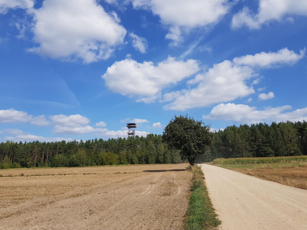 Wieża widokowa w Uhowie. To najwyższa wieża na Podlasiu [ZDJĘCIA]