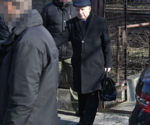 Koty Jarka nas terroryzują