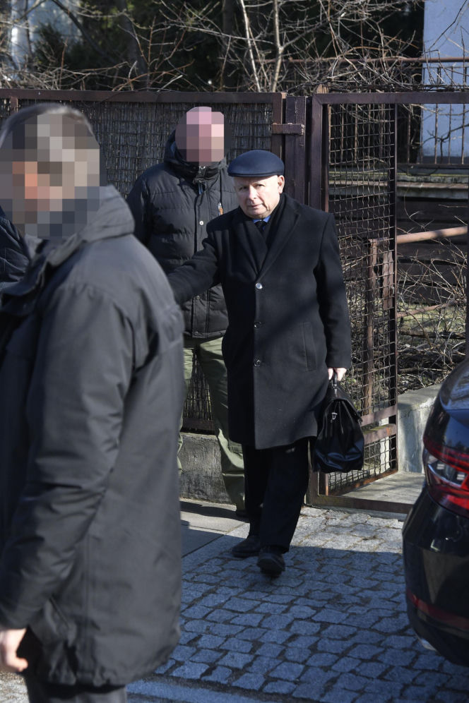 Koty Jarka nas terroryzują