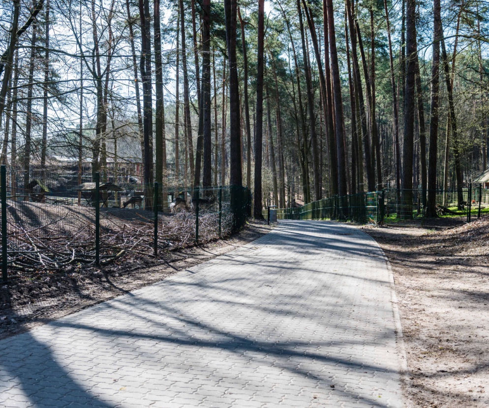 Koronawirus w Trójmieście. ZOO zamknięte na czas kwarantanny
