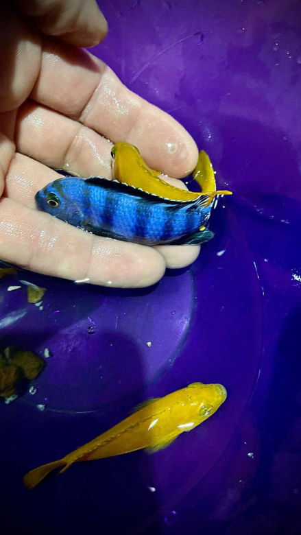 Rozmawiamy z Tomaszem Wiśniewskim, założycielem Aqua Dreams Bydgoszcz