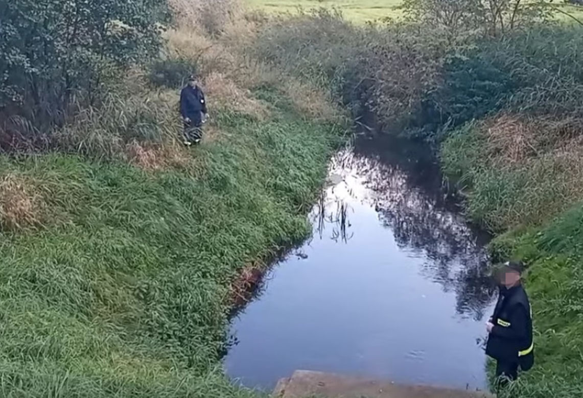 Mikołaj powiesił się w szopie