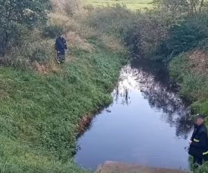 Mikołaj powiesił się w szopie