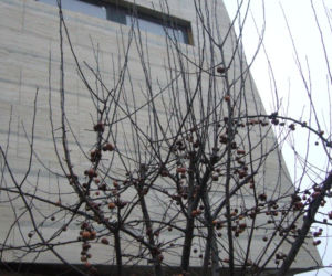 Muzeum Narodowe Ziemi Przemyskiej