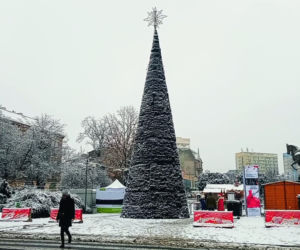 Pierwszy śnieg w Szczecinie