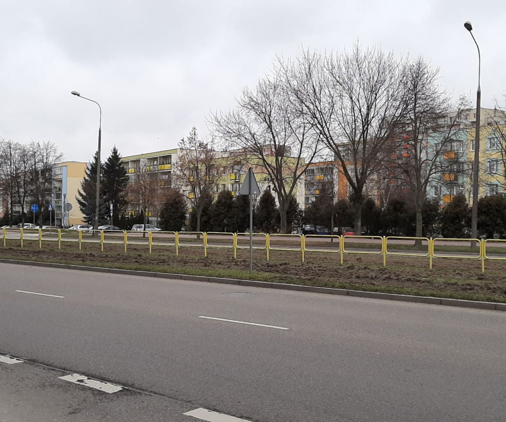 Aleja Piłsudskiego w Łomży 
