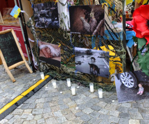 Jarmark z Ukrainy na lubelskim Rynku
