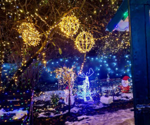 Dom bydgoskich Griswoldów znów rozbłysł. Powieśiliśmy 300 tysięcy lampek. Przygotowywaliśmy jej od lipca!