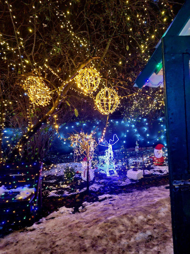 Dom bydgoskich Griswoldów znów rozbłysł. "Powieśiliśmy 300 tysięcy lampek. Przygotowywaliśmy jej od lipca!"