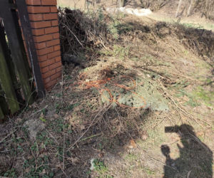 Upadek znanego prokuratora. Sukcesy, korupcja i śmierć. Jak zginął Jerzy Hop i jego syn? Nowe hipotezy szokują