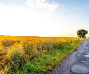 Chętnych na tereny przy Mironickiej coraz więcej. Jest nowy inwestor