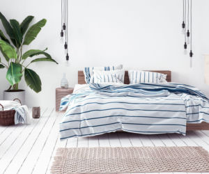 Rośliny w minimalistycznych wnętrzach