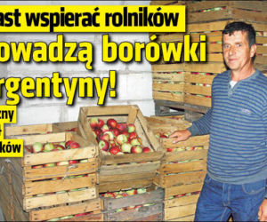 Zamiast wspierać rolników sprowadzą borówki z Argentyny!