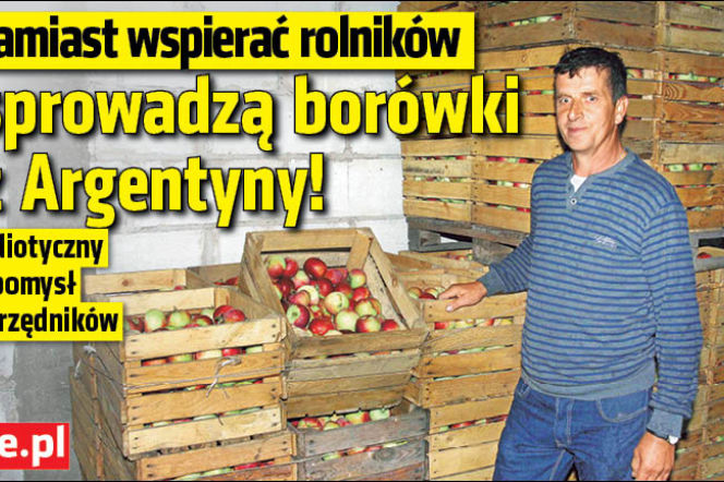 Zamiast wspierać rolników sprowadzą borówki z Argentyny!