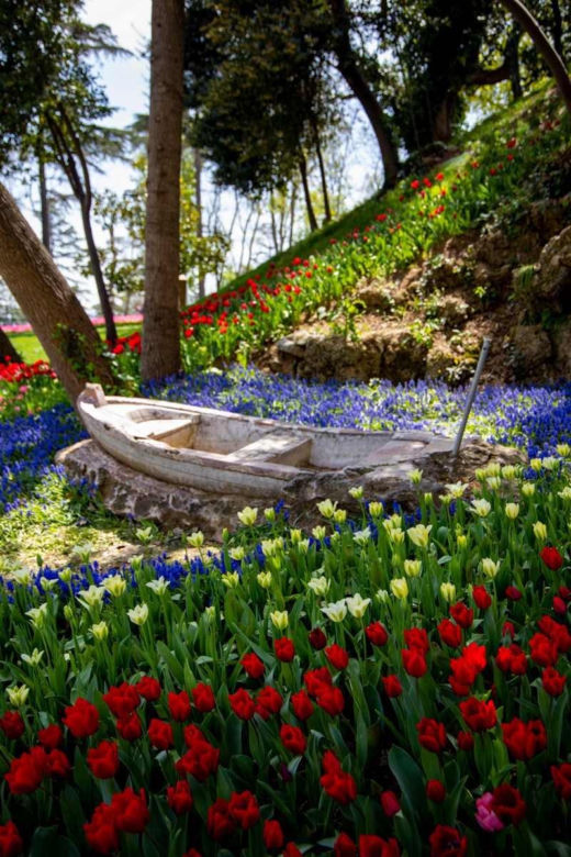 Festiwal tulipanów w Stambule - Istanbul Lale Festivali