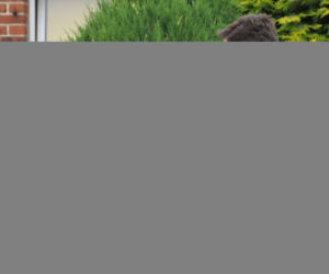 Pierwsza miłość. Mirek (Maurycy Torbicz), Marianna (Katarzyna Sawczuk)