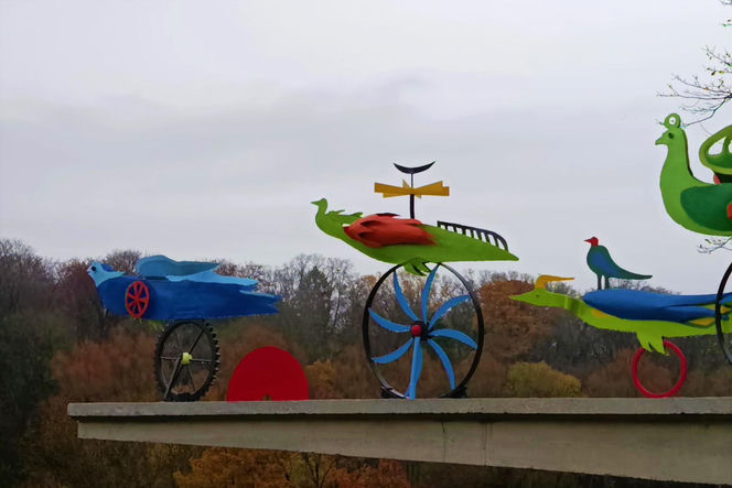 "Ogniste Ptaki" w Parku Kasprowicza w Szczecinie