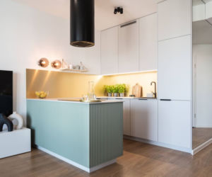 Apartament w Poznaniu - kuchnia