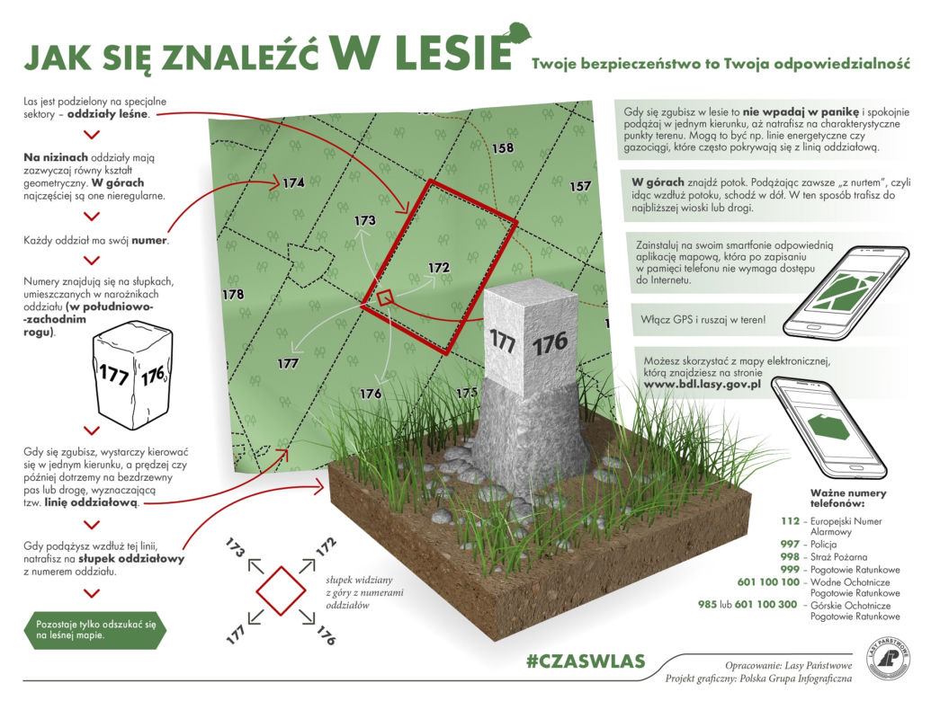 Survival i bushcraft w polskich lasach. Zobacz, gdzie możesz uprawiać swoje hobby