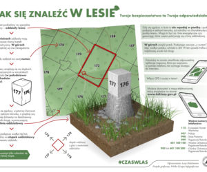 Survival i bushcraft w polskich lasach. Zobacz, gdzie możesz uprawiać swoje hobby