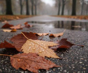 Początek weekendu w Rzeszowie może rozczarować. Później pogoda wynagrodzi wszystko