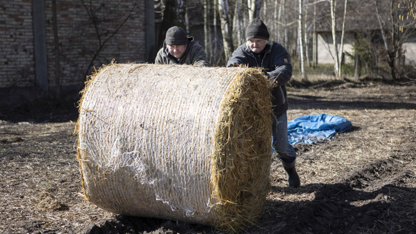 Rolnicy. Podlasie, odc. 19 (sezon piąty)