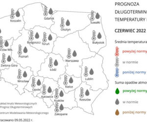 Pogoda na lato 2022: Szykuje się UPALNY lipiec! Znamy prognozy na wakacje! 