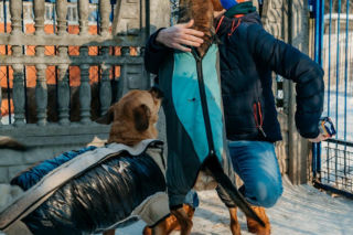 Radio ESKA z pomocą dla zwierząt! Nasza ekipa wsparła schronisko Celestyniaki