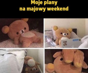 Majówka 2020 - MEMY z przymrużeniem oka. Tak będzie wyglądać majówka w Polsce