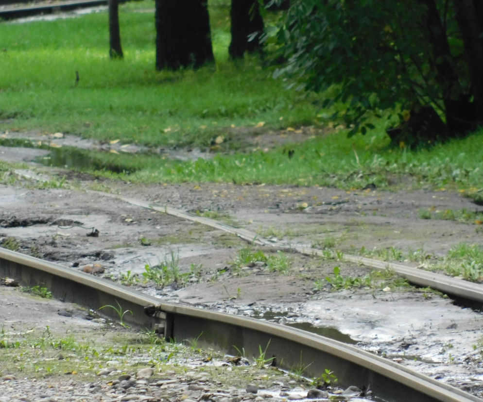 Tramwaje będą się wlokły jak żółwie