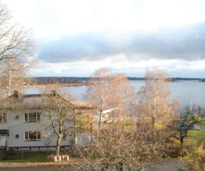Zdjęcie 6295